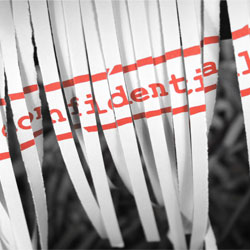 Why Shred With Shred & Go?